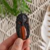 carobnica-08390
