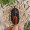 carobnica-08425