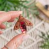 carobnica-09247