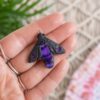 carobnica-09288